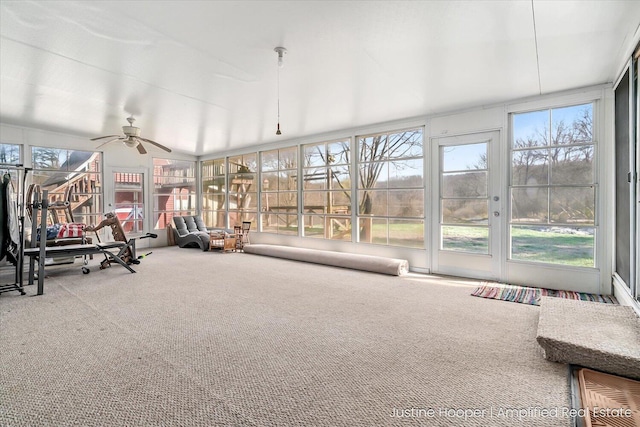 1220 W Green St, Hastings, MI 49058 - sunroom / solarium with a wealth of natural light and carpet flooring