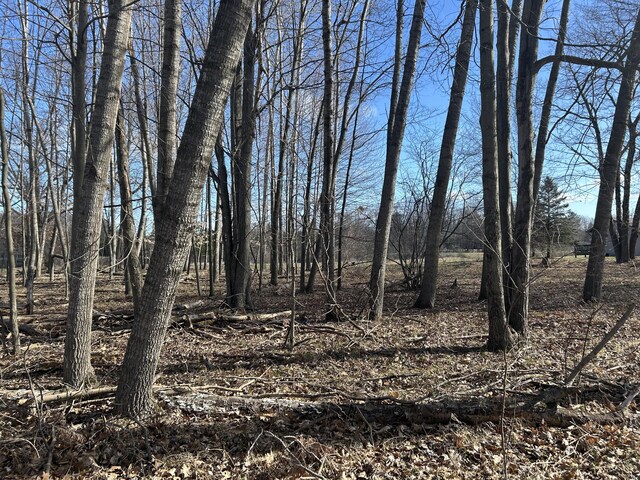 9620 Sunset Dr Unit 341, Canadian Lakes, MI 49346 - photo 4