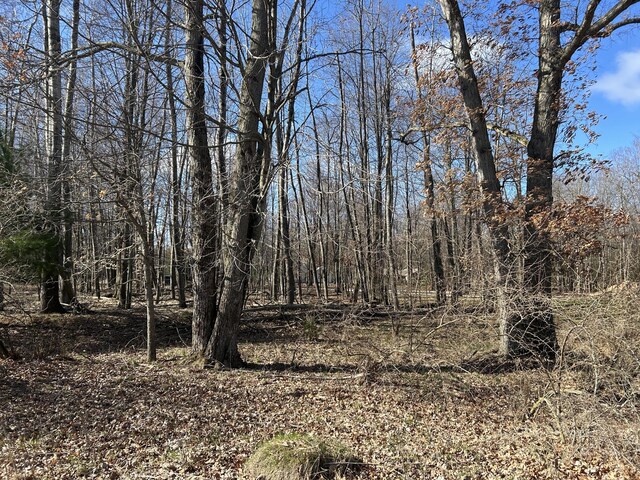 9620 Sunset Dr Unit 341, Canadian Lakes, MI 49346 - photo 3
