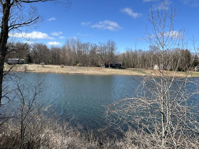 9620 Sunset Dr Unit 341, Canadian Lakes, MI 49346 - photo 2