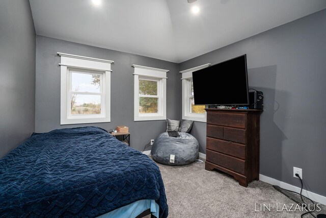 65326 County Road 388, South Haven, MI 49090 - photo 13