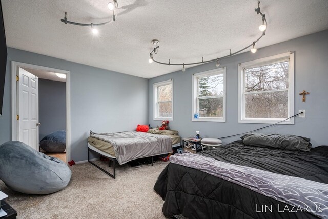 65326 County Road 388, South Haven, MI 49090 - photo 15