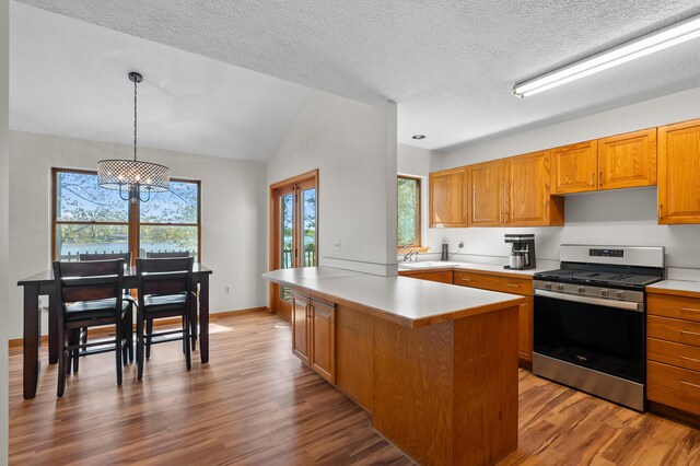 10511 Stoney Point Dr, Delton, MI 49046 - kitchen featuring gas range, light countertops, wood finished floors, healthy amount of natural light, and a textured ceiling
