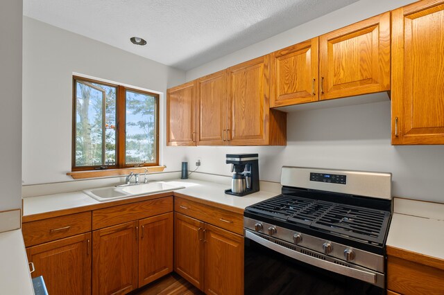 10511 Stoney Point Dr, Delton, MI 49046 - kitchen featuring stainless steel range with gas cooktop, a sink, light countertops, and brown cabinets