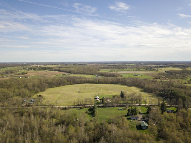 VL E Bear Lake Rd, Osseo, MI 49266