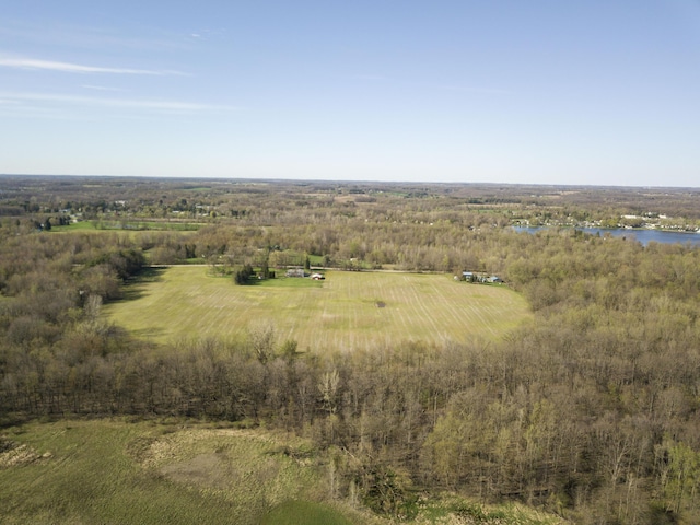 VL E Bear Lake Rd, Osseo, MI 49266