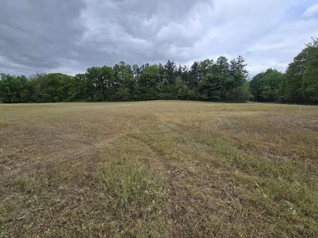VL E Bear Lake Rd, Osseo, MI 49266