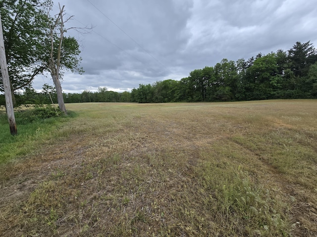 VL E Bear Lake Rd, Osseo, MI 49266