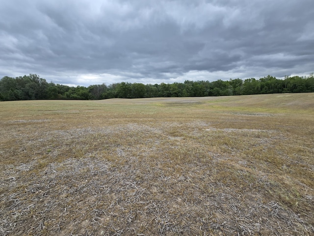 VL E Bear Lake Rd, Osseo, MI 49266