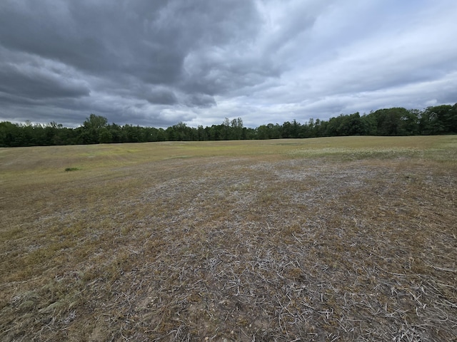 VL E Bear Lake Rd, Osseo, MI 49266