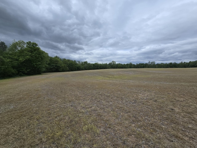 VL E Bear Lake Rd, Osseo, MI 49266