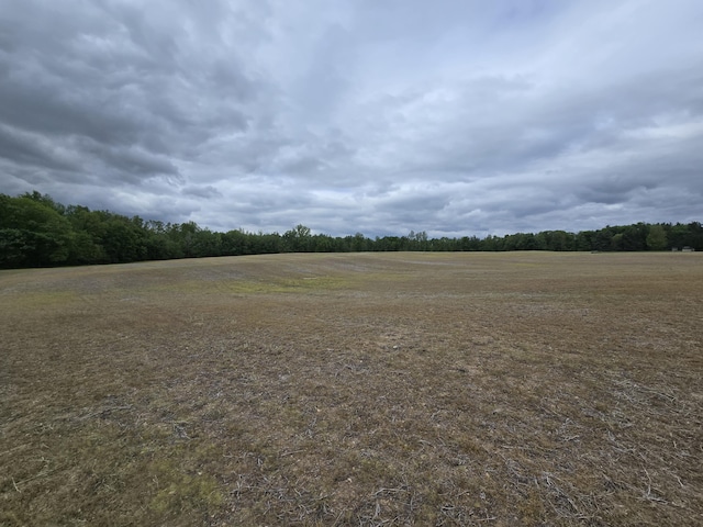 VL E Bear Lake Rd, Osseo, MI 49266