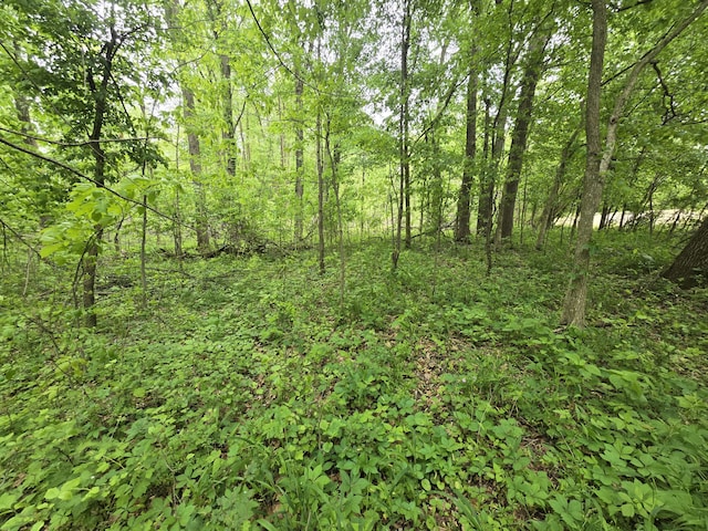 VL E Bear Lake Rd, Osseo, MI 49266