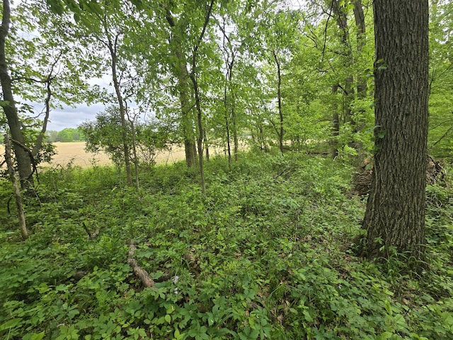 VL E Bear Lake Rd, Osseo, MI 49266