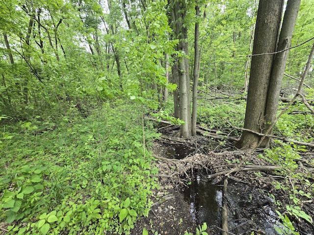 VL E Bear Lake Rd, Osseo, MI 49266