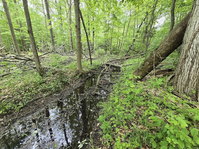 VL E Bear Lake Rd, Osseo, MI 49266