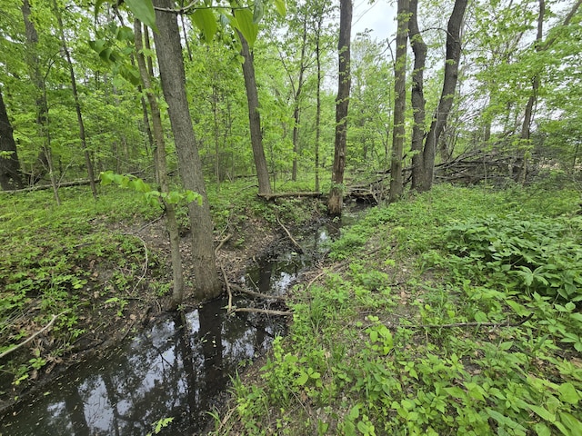VL E Bear Lake Rd, Osseo, MI 49266