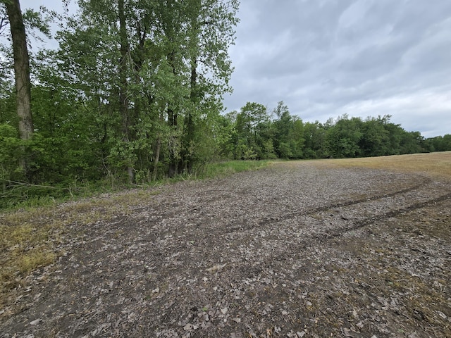 VL E Bear Lake Rd, Osseo, MI 49266