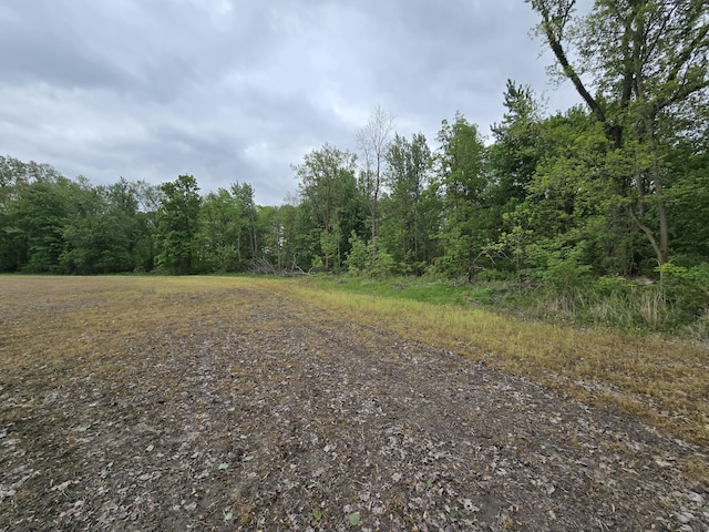 VL E Bear Lake Rd, Osseo, MI 49266