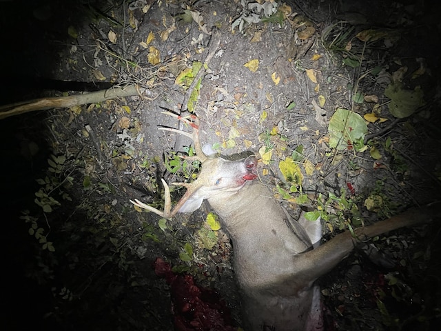 VL E Bear Lake Rd, Osseo, MI 49266