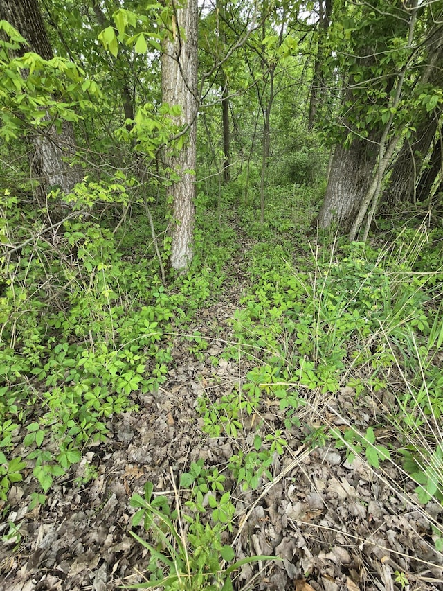 VL E Bear Lake Rd, Osseo, MI 49266