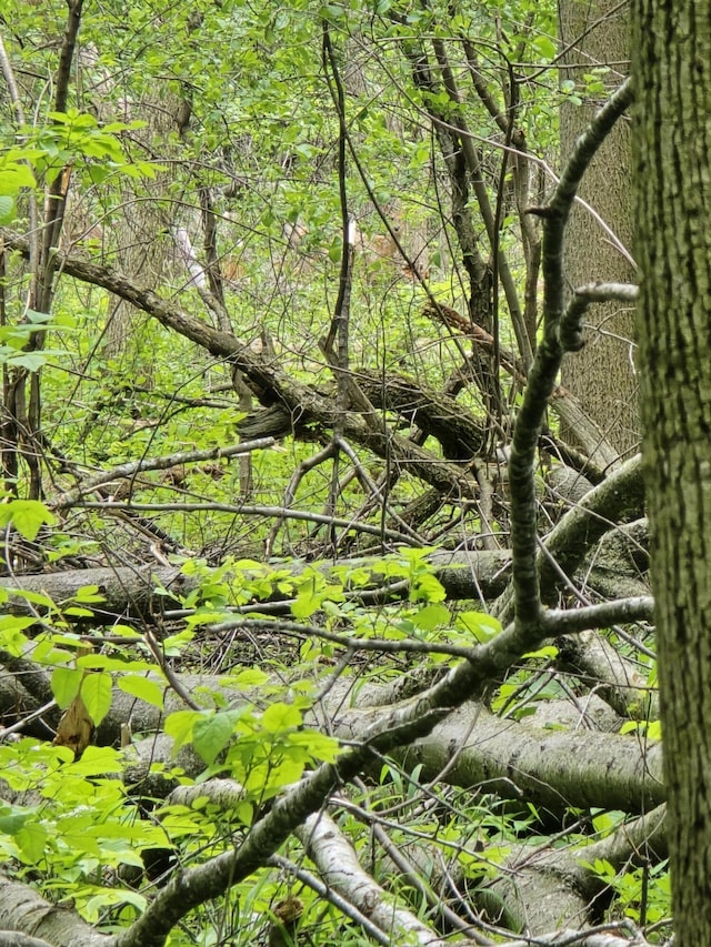 VL E Bear Lake Rd, Osseo, MI 49266