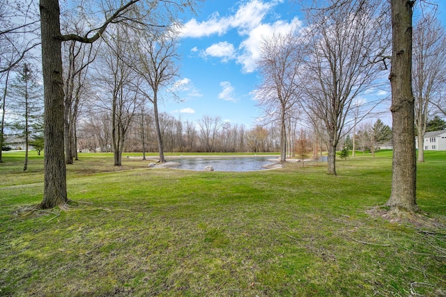 view of yard featuring a water view