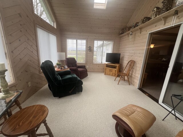 4614 E 120th St, Grant, MI 49327 - photo 16