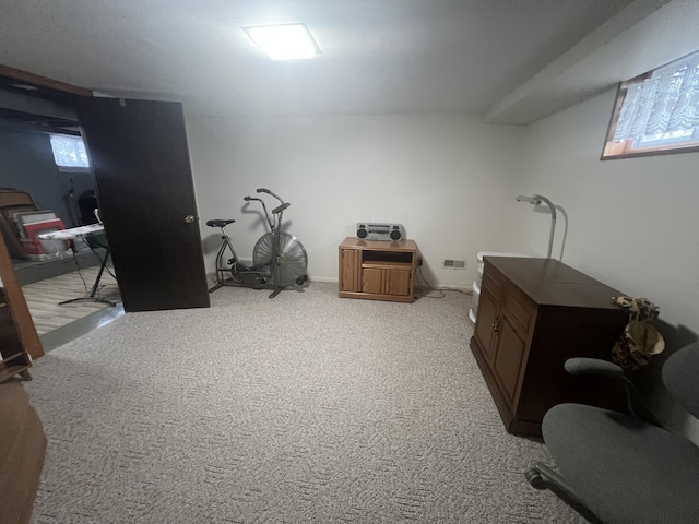 4614 E 120th St, Grant, MI 49327 - photo 45
