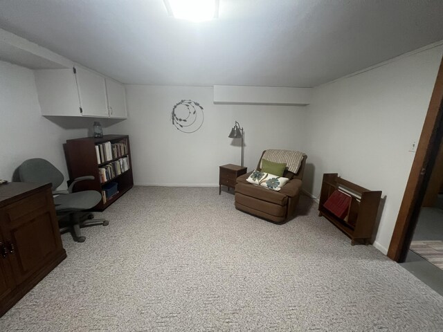 4614 E 120th St, Grant, MI 49327 - photo 43