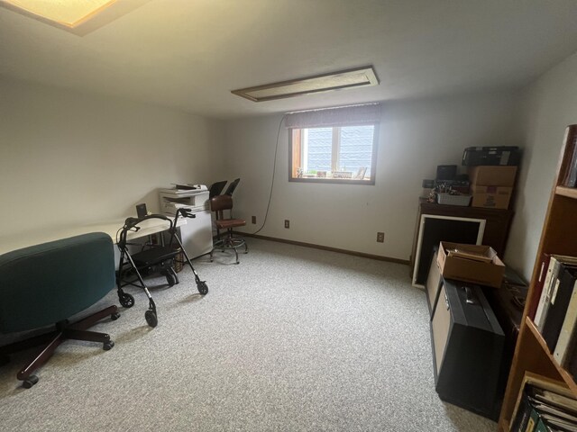 4614 E 120th St, Grant, MI 49327 - photo 38
