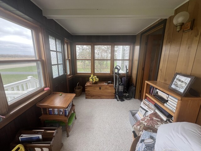 4614 E 120th St, Grant, MI 49327 - photo 47