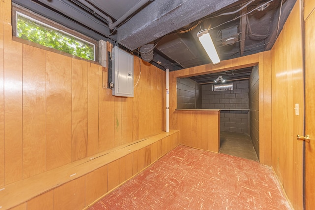 below grade area with wood walls and electric panel
