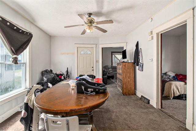 718 Harrison St, Kalamazoo, MI 49007 - carpeted dining space with ceiling fan, a wealth of natural light, a textured ceiling, and baseboards