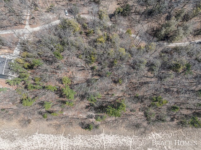 ParcelC Meinert Road, Montague, MI 49437 - photo 10