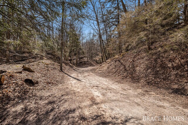 ParcelC Meinert Road, Montague, MI 49437 - photo 14