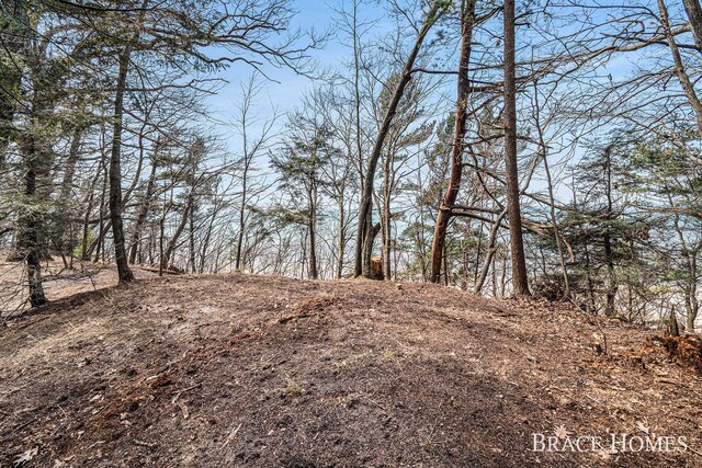 ParcelC Meinert Road, Montague, MI 49437 - photo 3