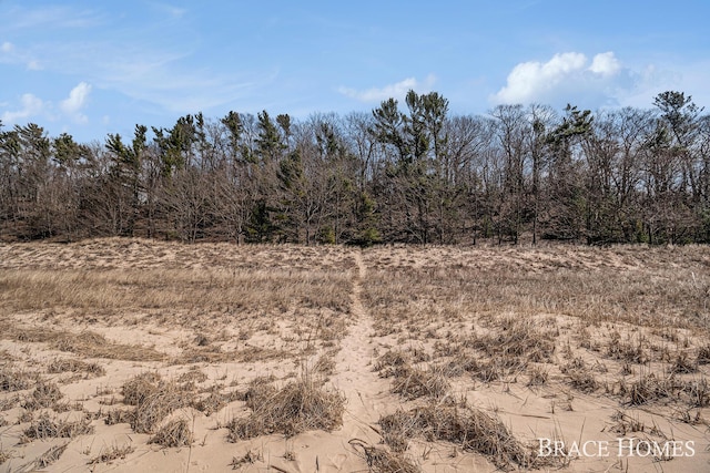 ParcelC Meinert Road, Montague, MI 49437 - photo 20
