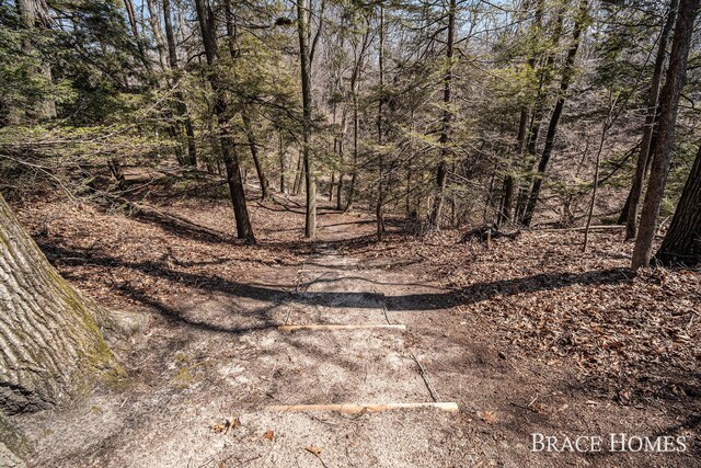 ParcelC Meinert Road, Montague, MI 49437 - photo 22