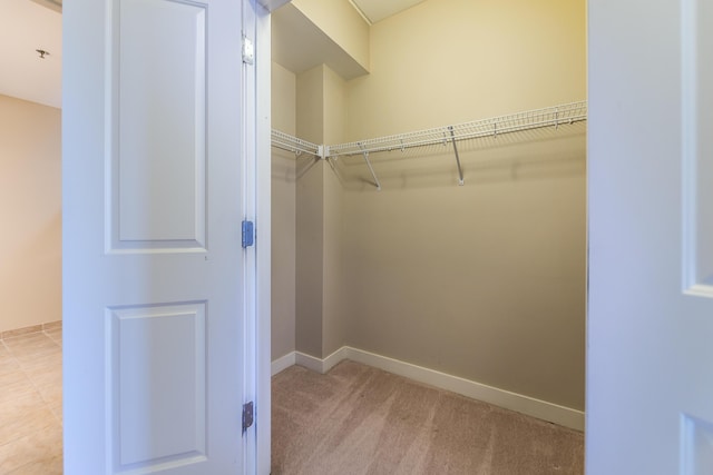 walk in closet with light carpet