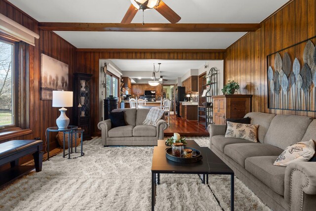 16264 White Haven Dr, Northville, MI 48168 - living area with wooden walls, a wealth of natural light, and ceiling fan with notable chandelier