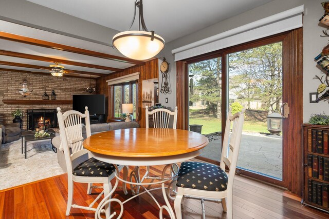 16264 White Haven Dr, Northville, MI 48168 - dining area with ceiling fan, plenty of natural light, wood finished floors, and a brick fireplace