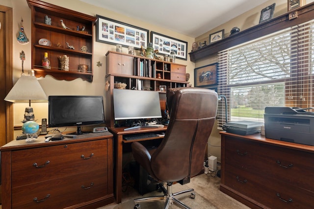 16264 White Haven Dr, Northville, MI 48168 - office area with carpet