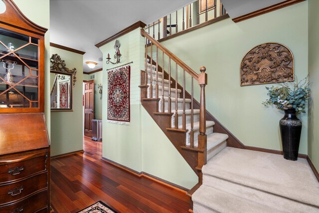 16264 White Haven Dr, Northville, MI 48168 - staircase with wood finished floors, baseboards, and ornamental molding