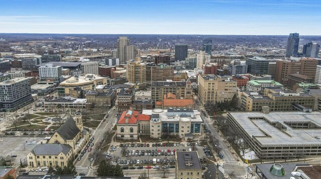 44 Lafayette Ave NE Unit 6, Grand Rapids, MI 49503 - view of city