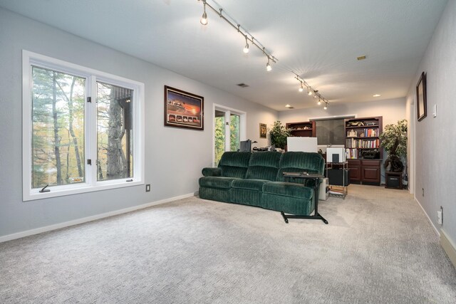 7129 Lakeridge Pl, Kalamazoo, MI 49009 - photo 45