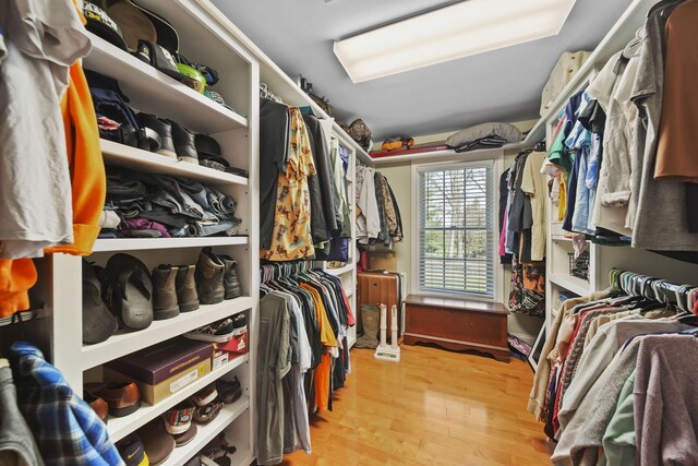 5427 Vrooman Rd, Jackson, MI 49201 - spacious closet with light wood-style floors