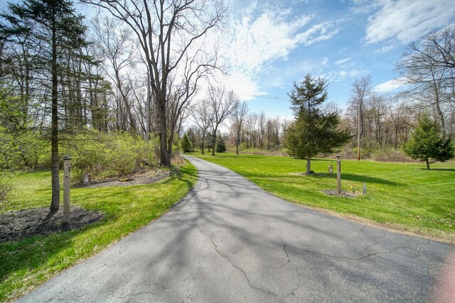5427 Vrooman Rd, Jackson, MI 49201 - view of road