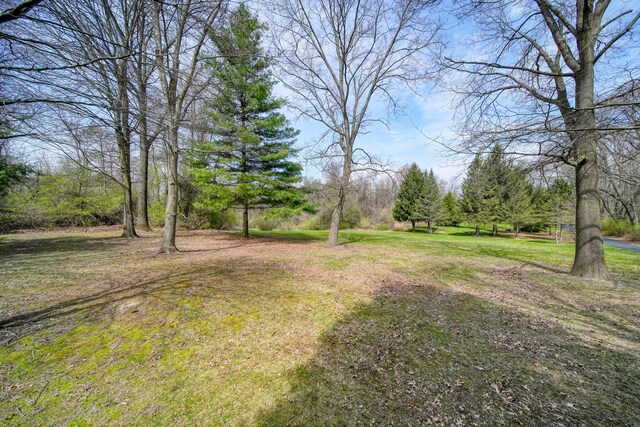 5427 Vrooman Rd, Jackson, MI 49201 - view of yard