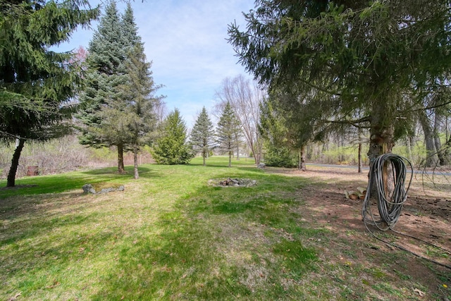 5427 Vrooman Rd, Jackson, MI 49201 - view of yard